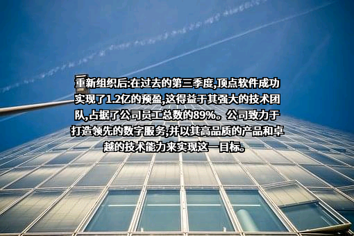 福建顶点软件股份有限公司