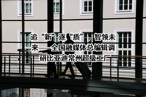 比亚迪股份有限公司