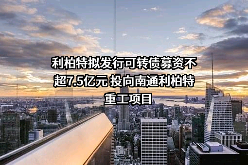 江苏利柏特股份有限公司