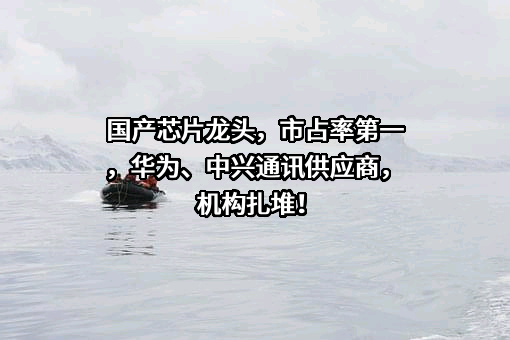 华为技术有限公司