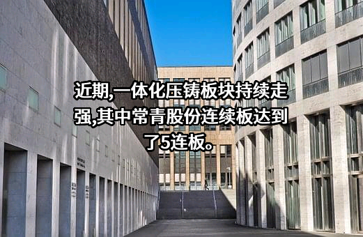 合肥常青机械股份有限公司