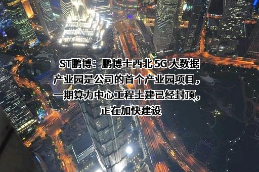 鹏博士电信传媒集团股份有限公司