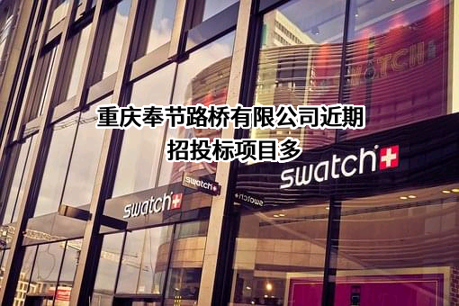 重庆奉节路桥有限公司