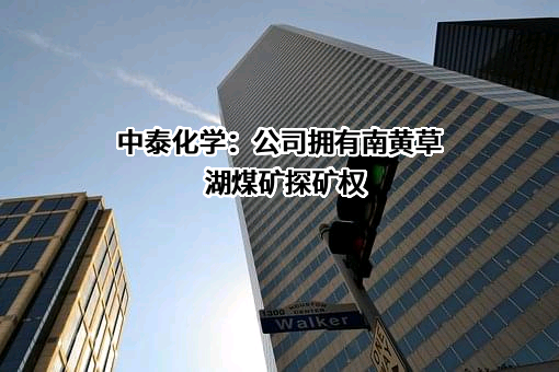 新疆中泰化学股份有限公司