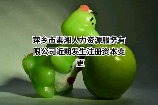 萍乡市素湘人力资源服务有限公司