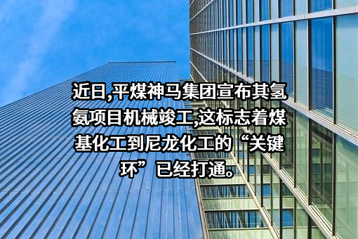 中国平煤神马集团尼龙科技有限公司