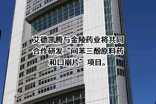 金陵药业股份有限公司