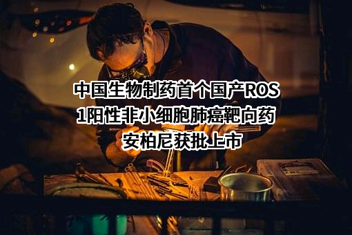 中国生物制药有限公司