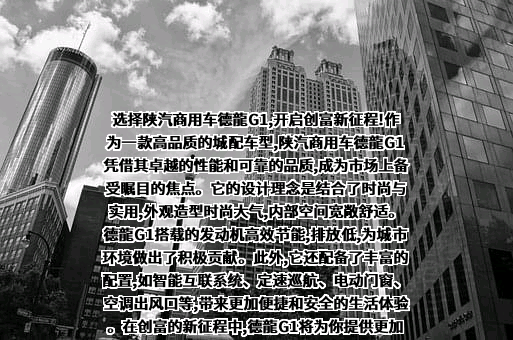 陕汽集团商用车有限公司