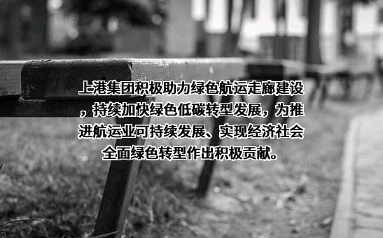 上海国际港务（集团）股份有限公司