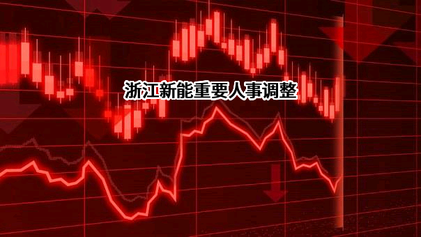 浙江新能重要人事调整