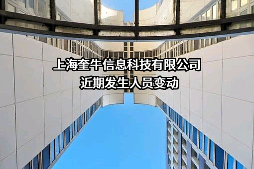 上海奎牛信息科技有限公司