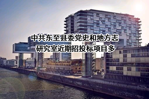 中共东至县委党史和地方志研究室近期招投标项目多