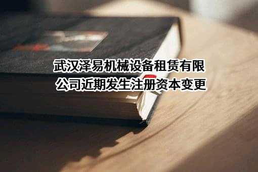 武汉泽易机械设备租赁有限公司