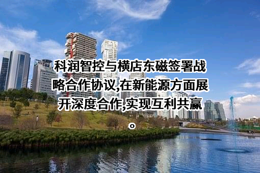 横店集团东磁股份有限公司