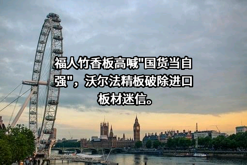 湖北丽维家家具有限公司