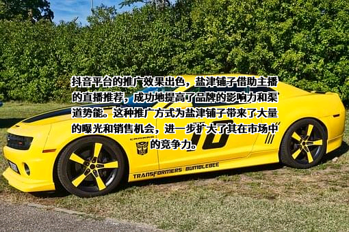 盐津铺子食品股份有限公司
