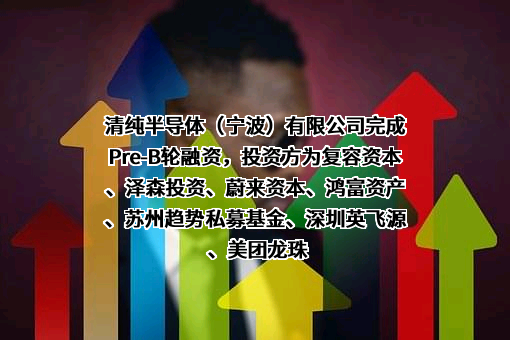 清纯半导体（宁波）有限公司
