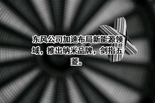 东风汽车股份有限公司
