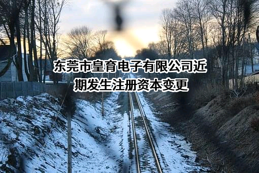东莞市皇育电子有限公司