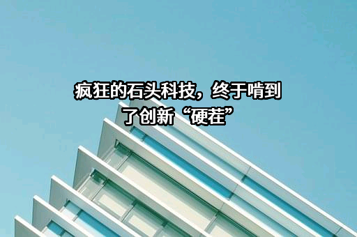 北京石头世纪科技股份有限公司