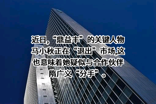 深圳市马氏盛族产业控股（集团）有限公司