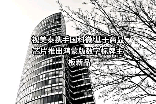 湖南国科微电子股份有限公司