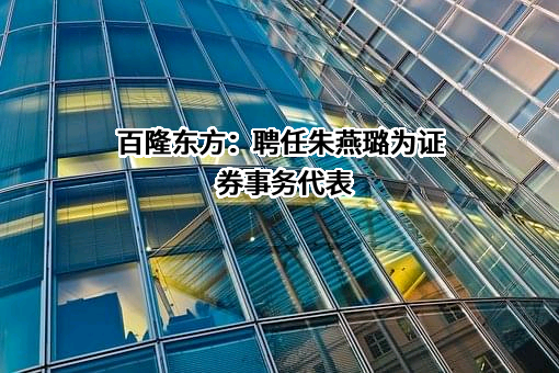百隆东方股份有限公司