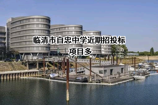 临清市自忠中学