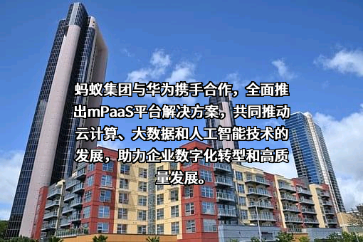 华为技术有限公司