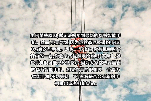 华为技术有限公司