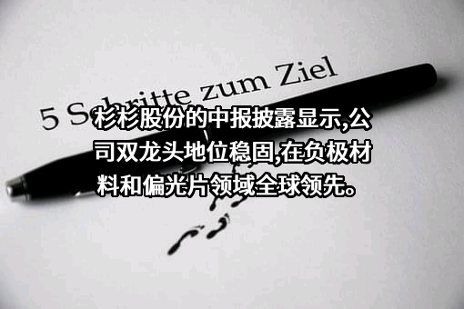 宁波杉杉股份有限公司