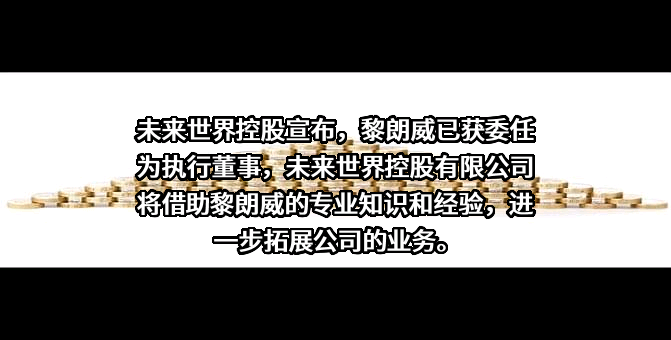 未来世界控股有限公司