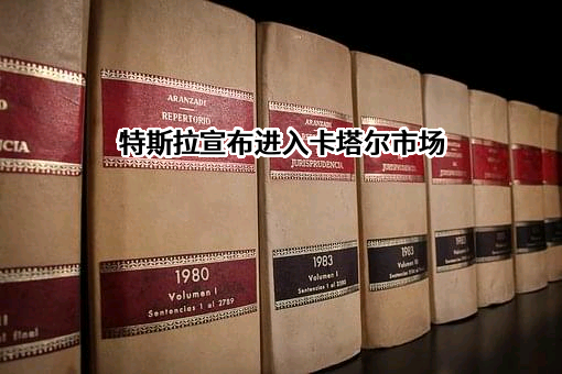 特斯拉（上海）有限公司