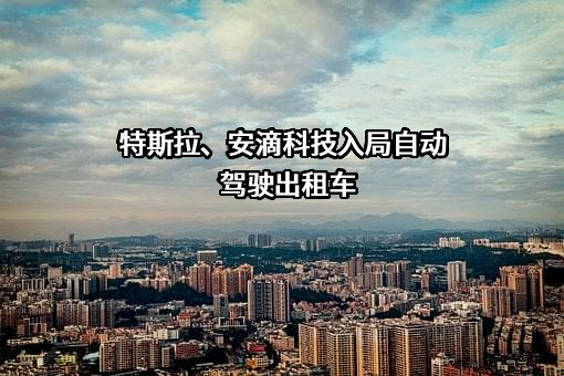 特斯拉（上海）有限公司