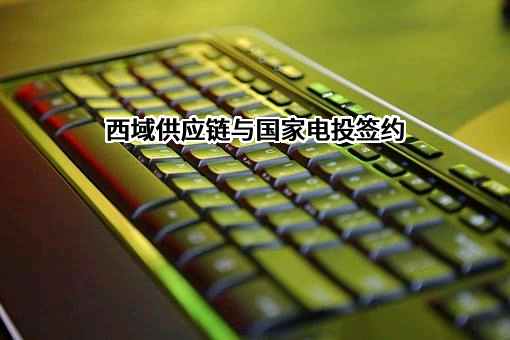 国家电力投资集团有限公司