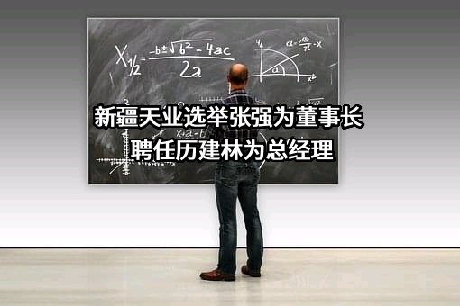 新疆天业股份有限公司