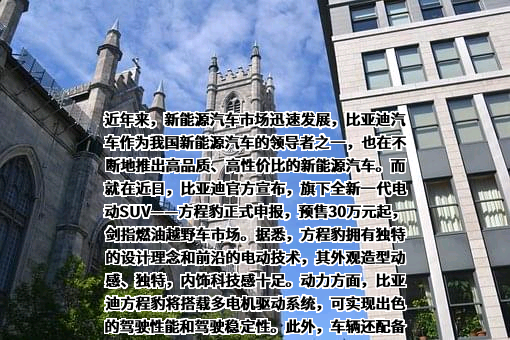 比亚迪股份有限公司