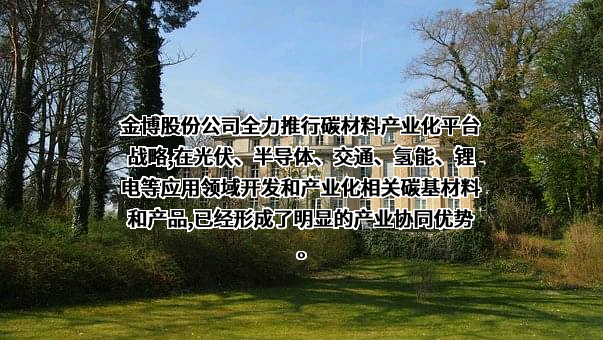 湖南金博碳素股份有限公司