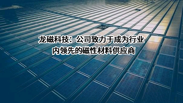 安徽龙磁科技股份有限公司
