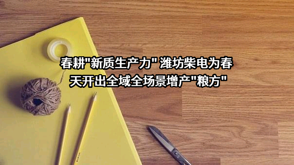 山东潍柴雷沃传动有限公司
