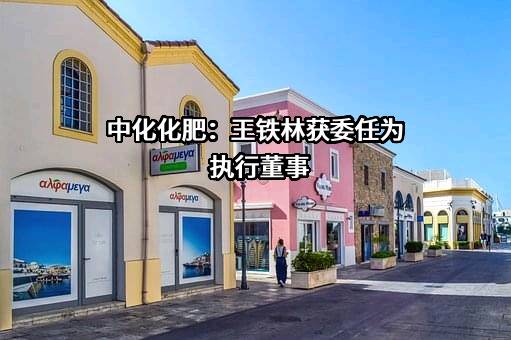 中化化肥控股有限公司