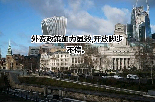 路易达孚（中国）贸易有限责任公司