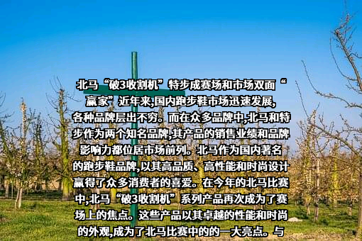 特步（中国）有限公司
