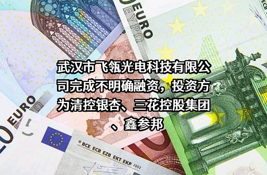 武汉市飞瓴光电科技有限公司