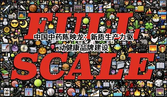 中国中药控股有限公司