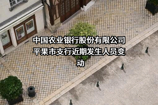 中国农业银行股份有限公司平果市支行
