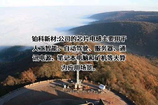 深圳市铂科新材料股份有限公司