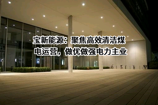广东宝丽华新能源股份有限公司