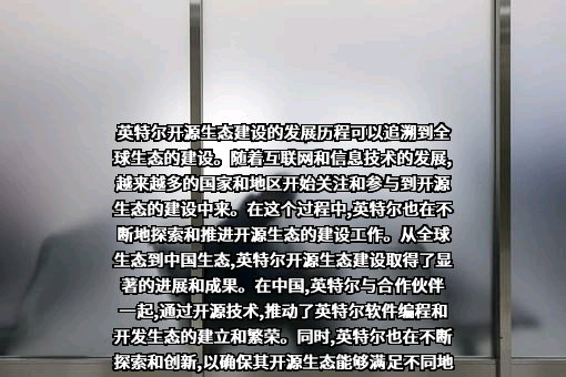 英特尔（中国）有限公司